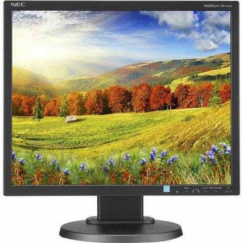 NEC Display Solutions 19" LED-backlit Desktop Monitor w/ IPS Panel and Integrated Speakers